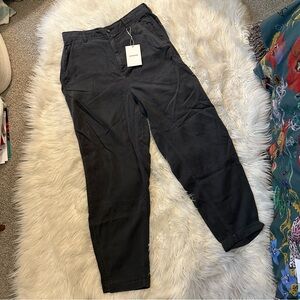 Everlane Dark Gray Chinos